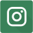 Icona Instagram