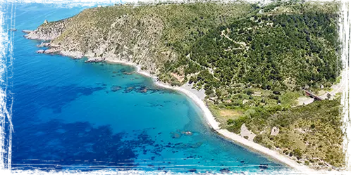 escursione in barca da Palinuro a Pisciotta